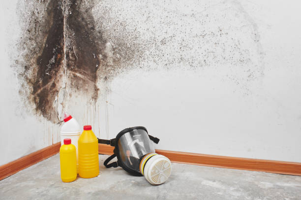 Best Mold Remediation for Healthcare Facilities  in Cave Spring, VA